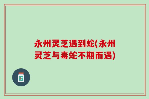 永州灵芝遇到蛇(永州灵芝与毒蛇不期而遇)