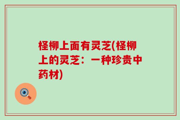 柽柳上面有灵芝(柽柳上的灵芝：一种珍贵中药材)