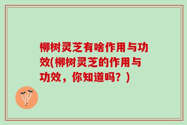 柳树灵芝有啥作用与功效(柳树灵芝的作用与功效，你知道吗？)