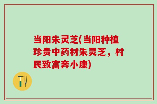 当阳朱灵芝(当阳种植珍贵中药材朱灵芝，村民致富奔小康)