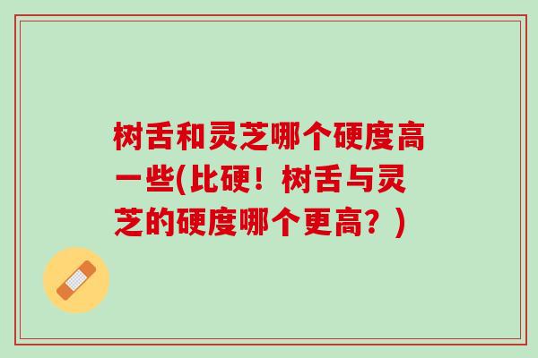 树舌和灵芝哪个硬度高一些(比硬！树舌与灵芝的硬度哪个更高？)