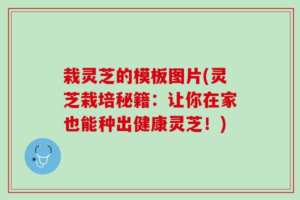 栽灵芝的模板图片(灵芝栽培秘籍：让你在家也能种出健康灵芝！)