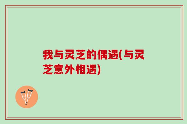 我与灵芝的偶遇(与灵芝意外相遇)