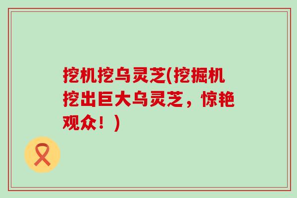 挖机挖乌灵芝(挖掘机挖出巨大乌灵芝，惊艳观众！)