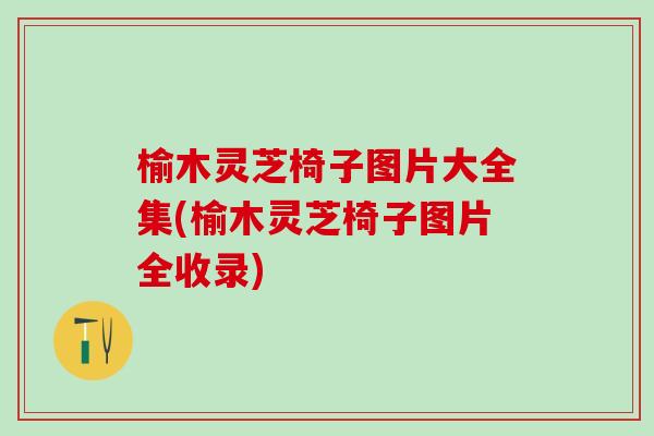 榆木灵芝椅子图片大全集(榆木灵芝椅子图片全收录)