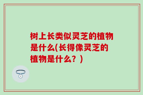 树上长类似灵芝的植物是什么(长得像灵芝的植物是什么？)
