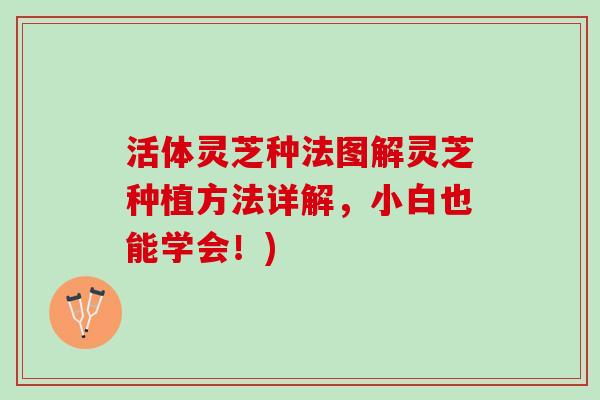 活体灵芝种法图解灵芝种植方法详解，小白也能学会！)