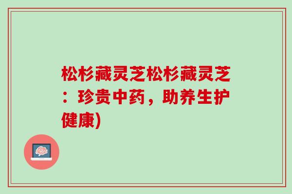 松杉藏灵芝松杉藏灵芝：珍贵中药，助养生护健康)
