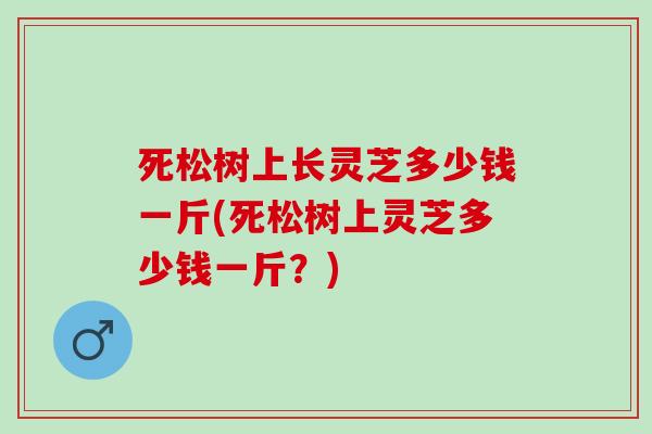 死松树上长灵芝多少钱一斤(死松树上灵芝多少钱一斤？)