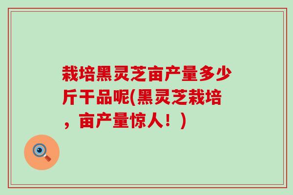 栽培黑灵芝亩产量多少斤干品呢(黑灵芝栽培，亩产量惊人！)