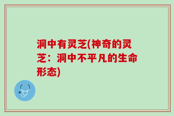 洞中有灵芝(神奇的灵芝：洞中不平凡的生命形态)