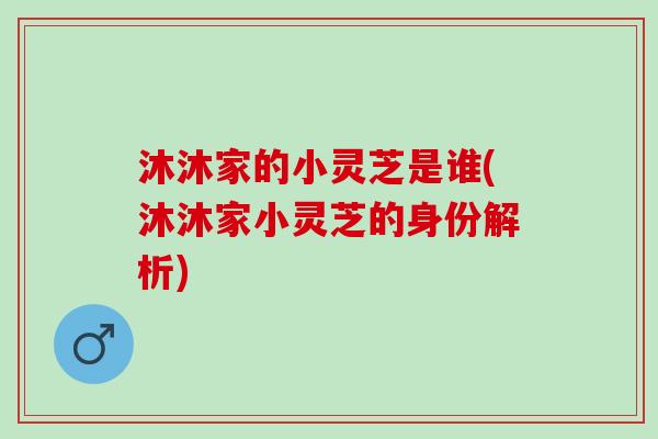 沐沐家的小灵芝是谁(沐沐家小灵芝的身份解析)
