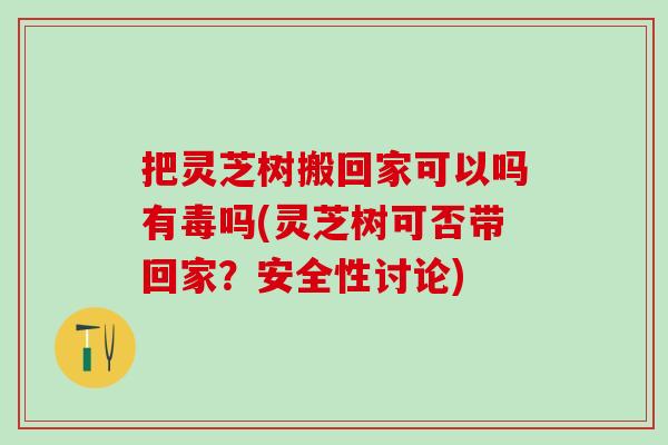 把灵芝树搬回家可以吗有毒吗(灵芝树可否带回家？安全性讨论)
