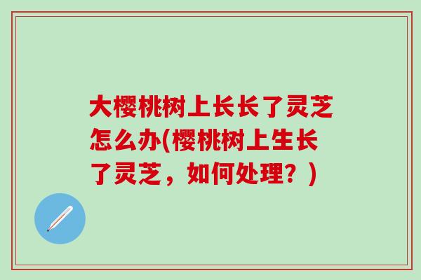 大樱桃树上长长了灵芝怎么办(樱桃树上生长了灵芝，如何处理？)