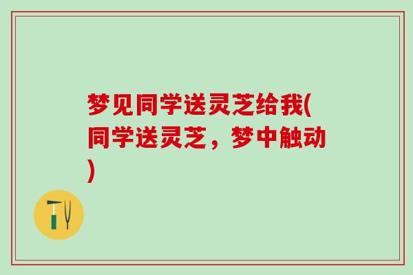 梦见同学送灵芝给我(同学送灵芝，梦中触动)