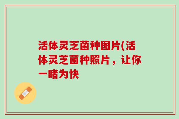 活体灵芝菌种图片(活体灵芝菌种照片，让你一睹为快