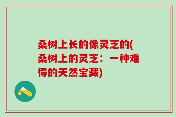 桑树上长的像灵芝的(桑树上的灵芝：一种难得的天然宝藏)