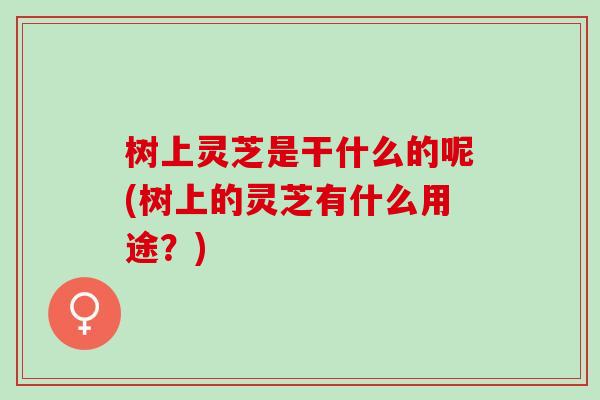 树上灵芝是干什么的呢(树上的灵芝有什么用途？)