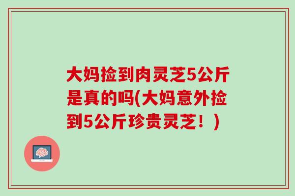 大妈捡到肉灵芝5公斤是真的吗(大妈意外捡到5公斤珍贵灵芝！)