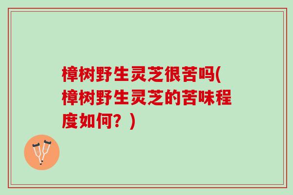 樟树野生灵芝很苦吗(樟树野生灵芝的苦味程度如何？)
