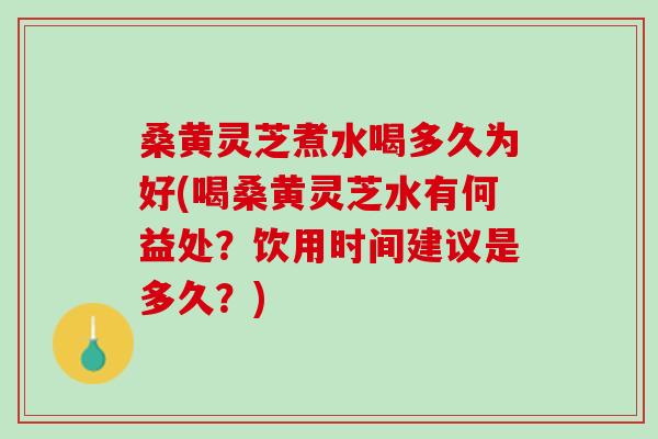 桑黄灵芝煮水喝多久为好(喝桑黄灵芝水有何益处？饮用时间建议是多久？)