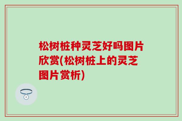 松树桩种灵芝好吗图片欣赏(松树桩上的灵芝图片赏析)