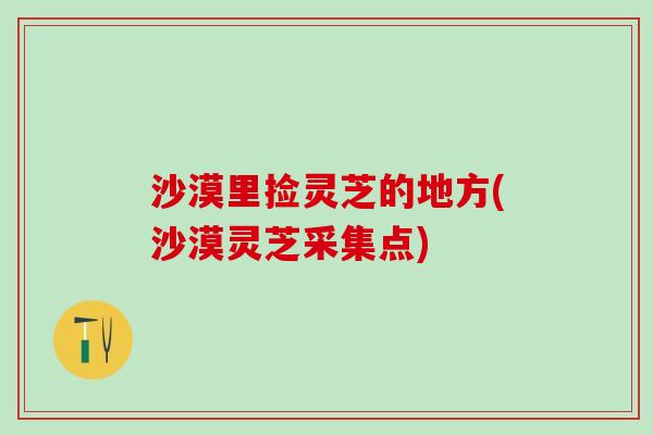 沙漠里捡灵芝的地方(沙漠灵芝采集点)
