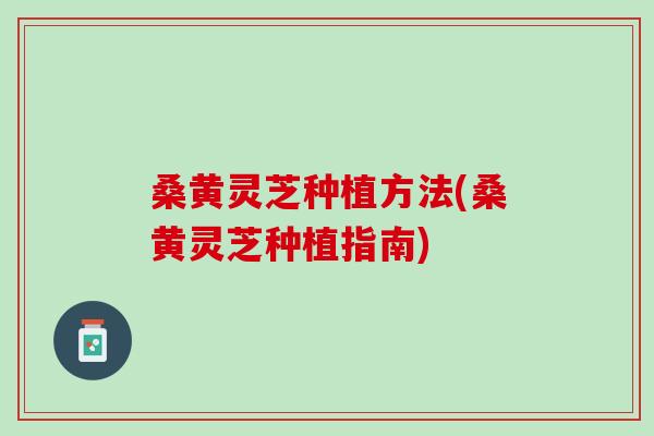 桑黄灵芝种植方法(桑黄灵芝种植指南)