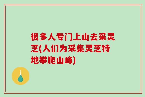 很多人专门上山去采灵芝(人们为采集灵芝特地攀爬山峰)