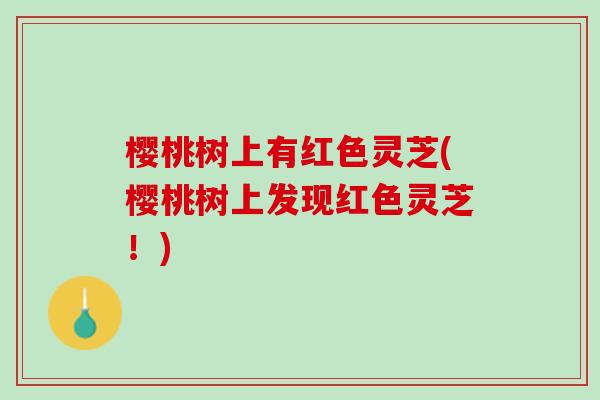 樱桃树上有红色灵芝(樱桃树上发现红色灵芝！)