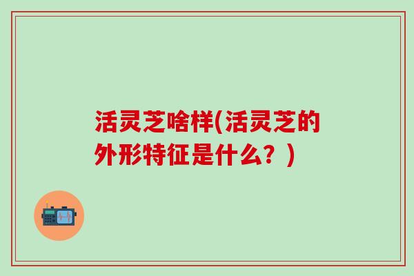活灵芝啥样(活灵芝的外形特征是什么？)