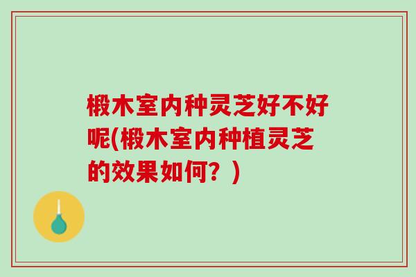 椴木室内种灵芝好不好呢(椴木室内种植灵芝的效果如何?) 椴木室内种灵芝好不好呢(椴木室内种植灵芝的效果如何?)