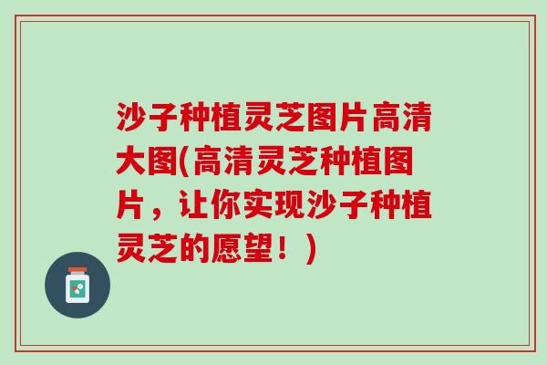 沙子种植灵芝图片高清大图(高清灵芝种植图片，让你实现沙子种植灵芝的愿望！)