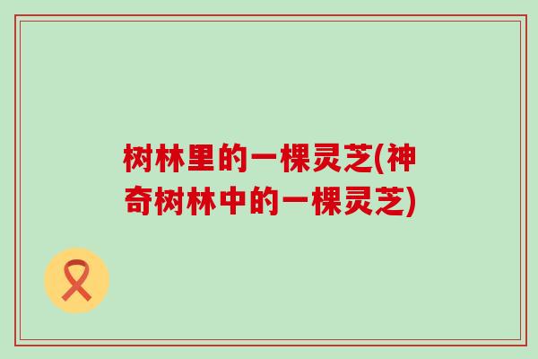 树林里的一棵灵芝(神奇树林中的一棵灵芝)
