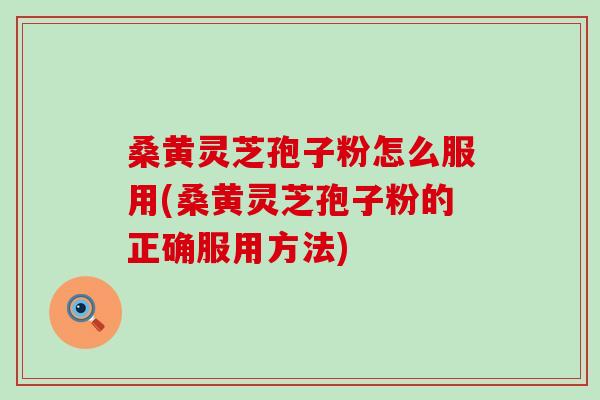 桑黄灵芝孢子粉怎么服用(桑黄灵芝孢子粉的正确服用方法)