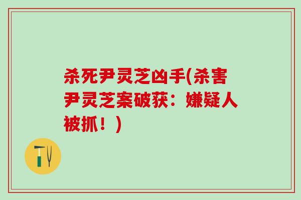 杀死尹灵芝凶手(杀害尹灵芝案破获：嫌疑人被抓！)
