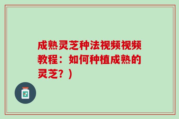成熟灵芝种法视频视频教程：如何种植成熟的灵芝？)