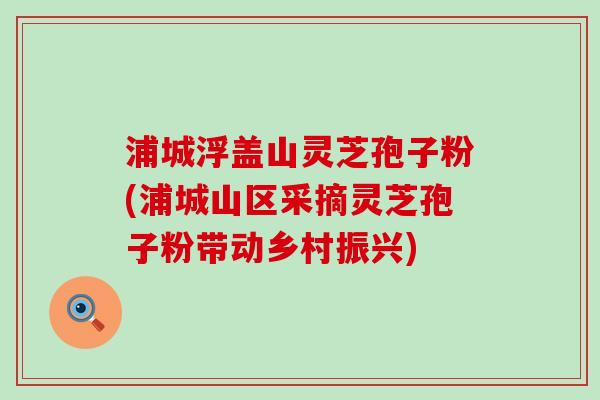 浦城浮盖山灵芝孢子粉(浦城山区采摘灵芝孢子粉带动乡村振兴)