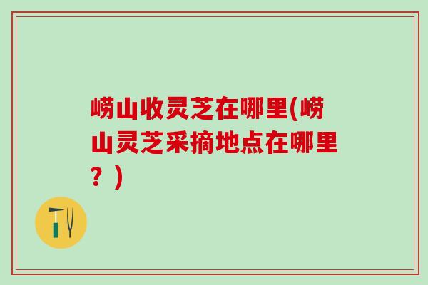 崂山收灵芝在哪里(崂山灵芝采摘地点在哪里？)
