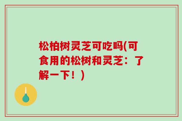 松柏树灵芝可吃吗(可食用的松树和灵芝：了解一下！)