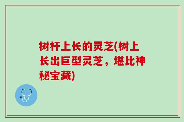 树杆上长的灵芝(树上长出巨型灵芝，堪比神秘宝藏)