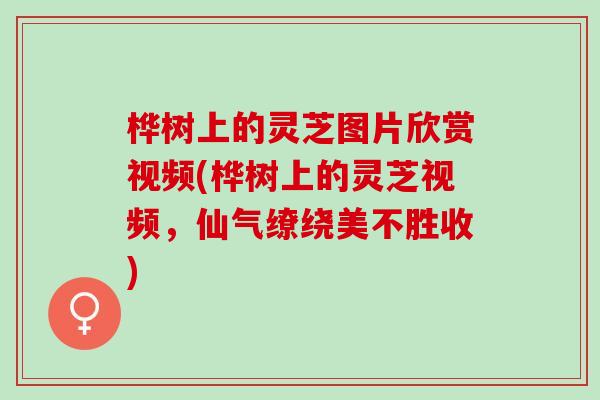桦树上的灵芝图片欣赏视频(桦树上的灵芝视频，仙气缭绕美不胜收)