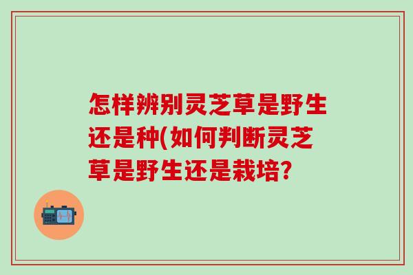怎样辨别灵芝草是野生还是种(如何判断灵芝草是野生还是栽培？