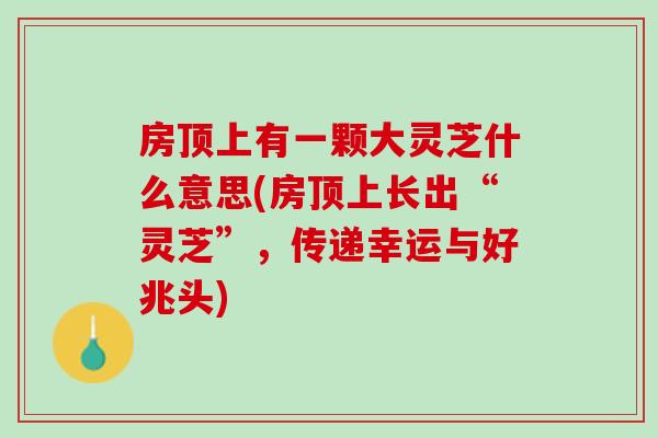 房顶上有一颗大灵芝什么意思(房顶上长出“灵芝”，传递幸运与好兆头)