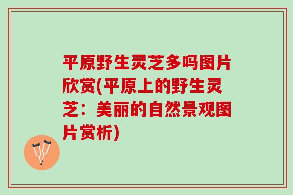 平原野生灵芝多吗图片欣赏(平原上的野生灵芝：美丽的自然景观图片赏析)
