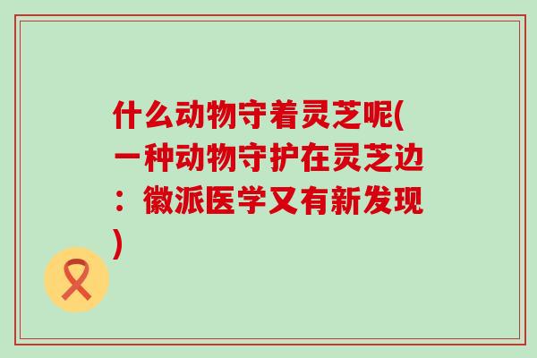 什么动物守着灵芝呢(一种动物守护在灵芝边：徽派医学又有新发现)