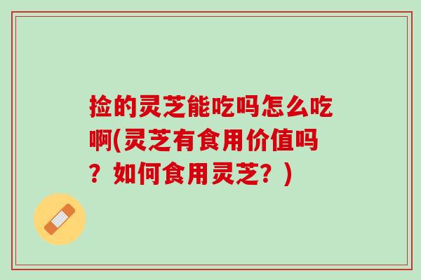 捡的灵芝能吃吗怎么吃啊(灵芝有食用价值吗？如何食用灵芝？)