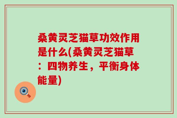 桑黄灵芝猫草功效作用是什么(桑黄灵芝猫草：四物养生，平衡身体能量)