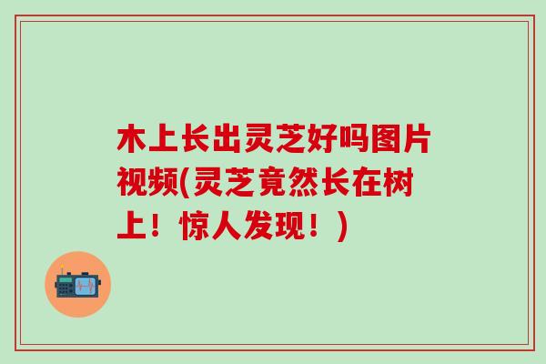 木上长出灵芝好吗图片视频(灵芝竟然长在树上！惊人发现！)