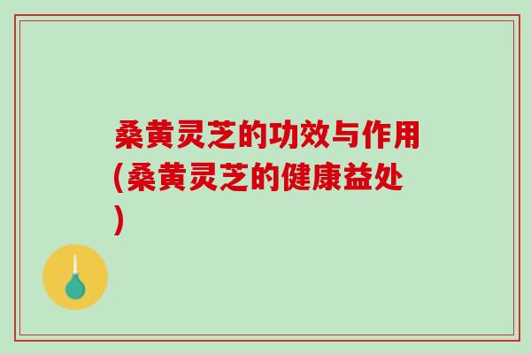 桑黄灵芝的功效与作用(桑黄灵芝的健康益处)